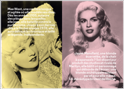TEM - BOOK - ULTRA BLONDE 2
