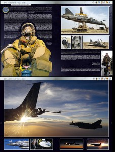 TEM - posts - BEAU LIVRE DANS LE REPAIRE DU MIRAGE 2000D (2014 04 02) (4)