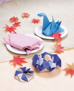 TEM - ALBUM -70 origamis pratiques pour toute la famille 3