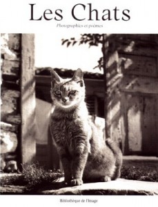 TEM - BOOK - LES CHATS. Photographies et poèmes 1