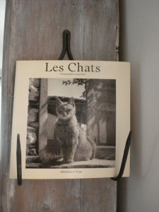 TEM - BOOK - LES CHATS. Photographies et poèmes 2