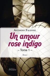 TEM - BOOK - Un amour rose indigo tome 1 1
