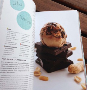 TEM - BOOK - KAMINSKY Hannah • VEGANICE - GLACES VEGANES 2