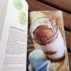 TEM - BOOK - KAMINSKY Hannah • VEGANICE - GLACES VEGANES 3