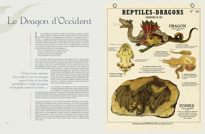 TEM - BOOK - Créatures fantastiques Deyrolle 2