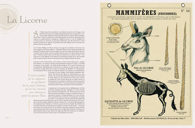 TEM - BOOK - Créatures fantastiques Deyrolle 3