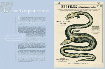 TEM - BOOK - Créatures fantastiques Deyrolle 4