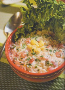 TEM - BOOK-le cuisinier paresseux 2