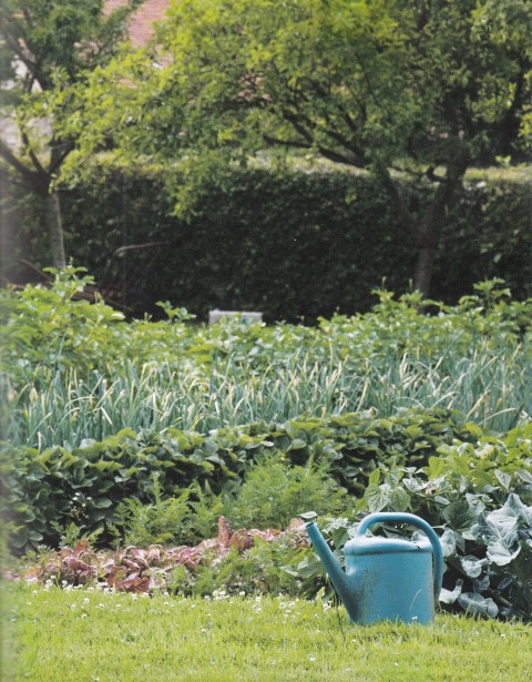 Le temps du potager - De la culture bio à la permaculture 1