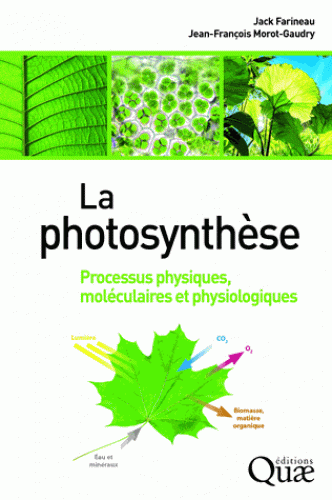 La photosynthèse - Processus physiques, moléculaires et physiologiques