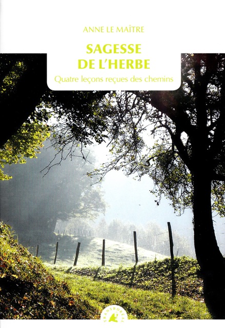 Sagesse de l'herbe - Quatre leçons reçues des chemins