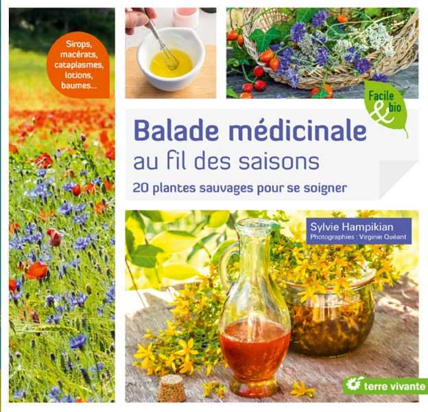 Balade médicinale au fil des saisons - 20 plantes sauvages pour se soigner